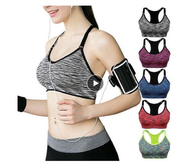 quick dry padded sports bra,women wireadjustable fitness sport brassiere,push up seamless running yoga bra, White;red
quick dry padded sports bra,women wireadjustable fitness sport brassiere,push up seamless running yoga bra, White;red