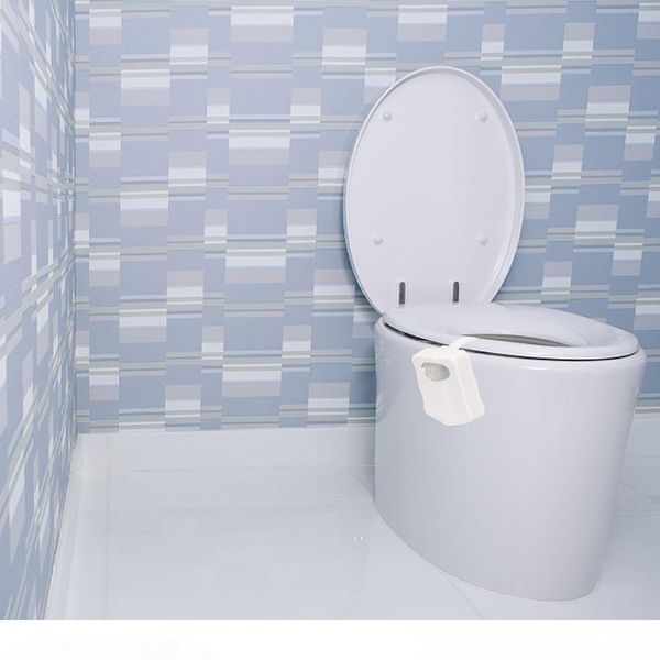 sensor toilet little night lamp 8 colors led battery-operated lamp human induction lamp
sensor toilet little night lamp 8 colors led battery-operated lamp human induction lamp
