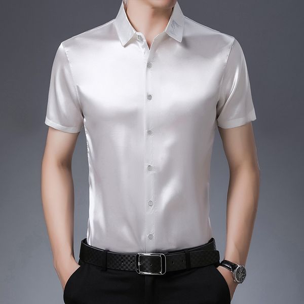 2020 summer men silk shirt casual short sleeve man solid shirts casual male shirt, White;black
2020 summer men silk shirt casual short sleeve man solid shirts casual male shirt, White;black