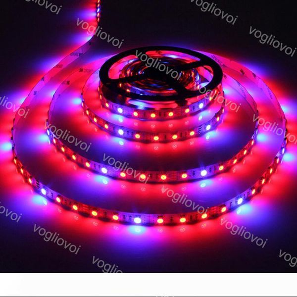 led strip lights full spectrum grow lights 5m roll 300 leds 5050 chip indoor greenhouse hydroponic plant
led strip lights full spectrum grow lights 5m roll 300 leds 5050 chip indoor greenhouse hydroponic plant