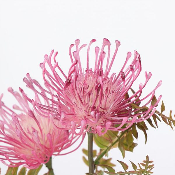 2 heads chrysanthemum artificial silk flowers flores fall home wedding decorations fake plants branch wreath fleur
2 heads chrysanthemum artificial silk flowers flores fall home wedding decorations fake plants branch wreath fleur