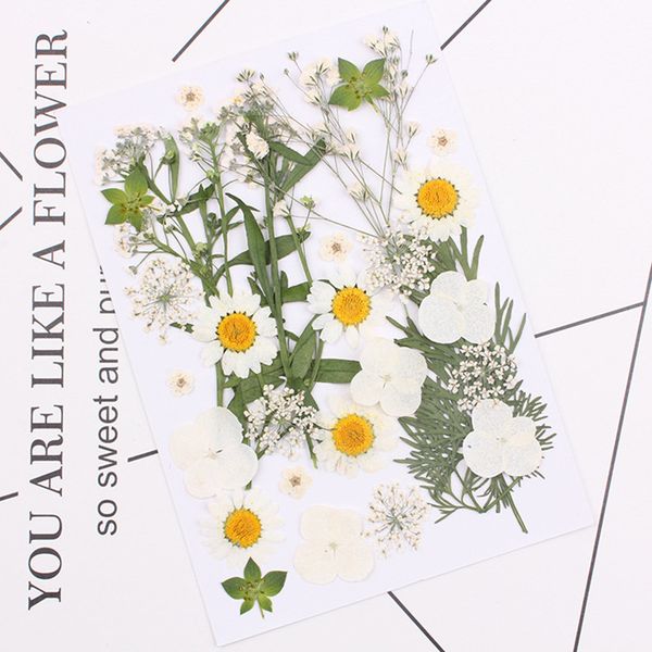 pressed real dried flower dry leaves for diy crafts bookmark card making flower natural dried flowers diy art floral decor
pressed real dried flower dry leaves for diy crafts bookmark card making flower natural dried flowers diy art floral decor
