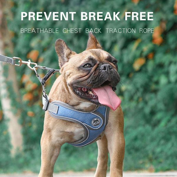 dog collars & leashes reflective pet harness and leash set breathable nylon mesh for small medium dogs soft vest leads clothes
dog collars & leashes reflective pet harness and leash set breathable nylon mesh for small medium dogs soft vest leads clothes