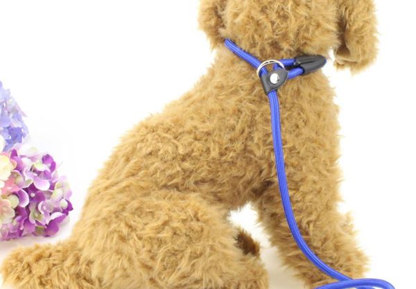 st nylon pet p rope pull resistant pet chain leads puppy dog training leash dog chain
st nylon pet p rope pull resistant pet chain leads puppy dog training leash dog chain