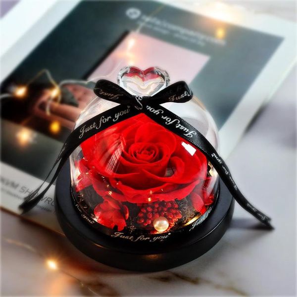preserved valentines day gift exclusive rose in glass dome with lights eternal real rose mother's day gif
preserved valentines day gift exclusive rose in glass dome with lights eternal real rose mother's day gif