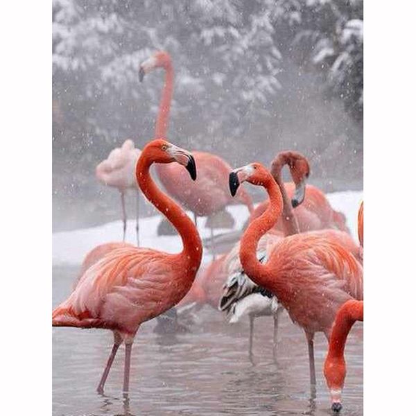 полный алмазные картина diy 5d pink flamingo вышивка крестом вышивка алмазный стразы алмазный мозаика украшения комнаты
полный алмазные картина diy 5d pink flamingo вышивка крестом вышивка алмазный стразы алмазный мозаика украшения комнаты