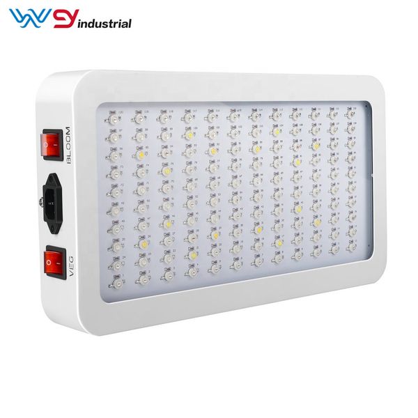двойной переключатель новые 1000w full spectrum led grow light double chip гидропоника овощной цветок завод светать
двойной переключатель новые 1000w full spectrum led grow light double chip гидропоника овощной цветок завод светать