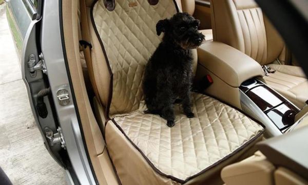 selling dog car pet cushion front seat pet car cushion dual purpose waterproof car pet cushion
selling dog car pet cushion front seat pet car cushion dual purpose waterproof car pet cushion