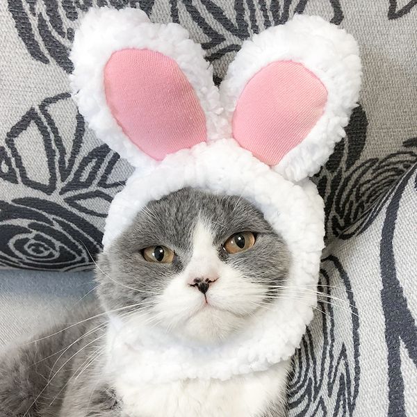 dog cat headgear hat scarf puppy teddy cat headdress dress up cute funny pet supplies headdress
dog cat headgear hat scarf puppy teddy cat headdress dress up cute funny pet supplies headdress