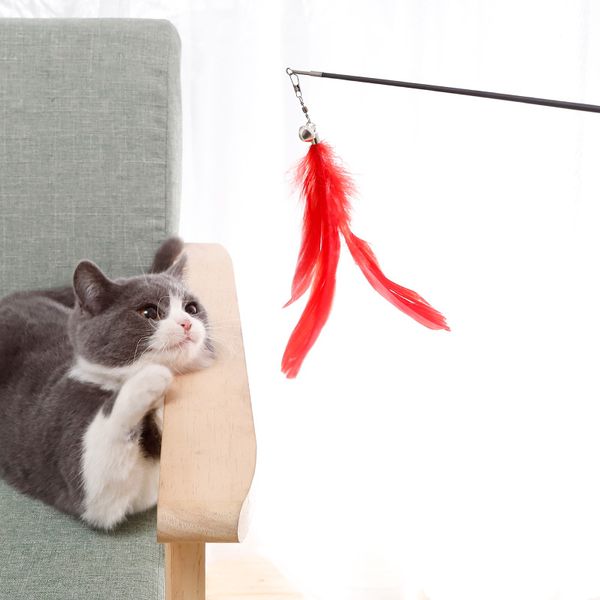 new 80cm handmade telescopic feathers cat stick pet toy pet supplies rods kitten funny solid wood handle playing toy
new 80cm handmade telescopic feathers cat stick pet toy pet supplies rods kitten funny solid wood handle playing toy