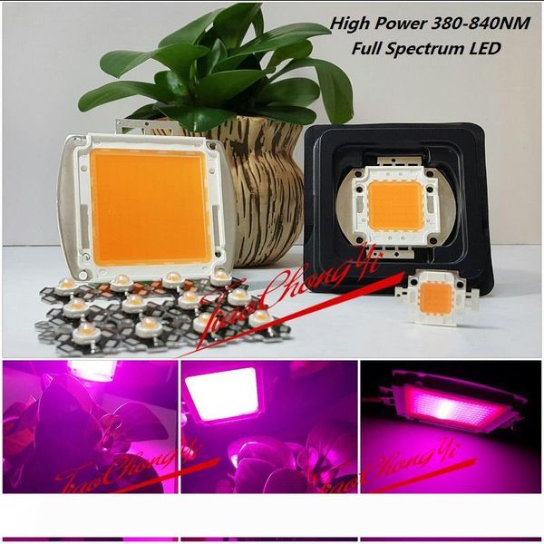 3w 10w 20w 30w 50w 100w 150w 200w 380-840nm led grow chip,full spectrum led grow lights for hydroponics
3w 10w 20w 30w 50w 100w 150w 200w 380-840nm led grow chip,full spectrum led grow lights for hydroponics