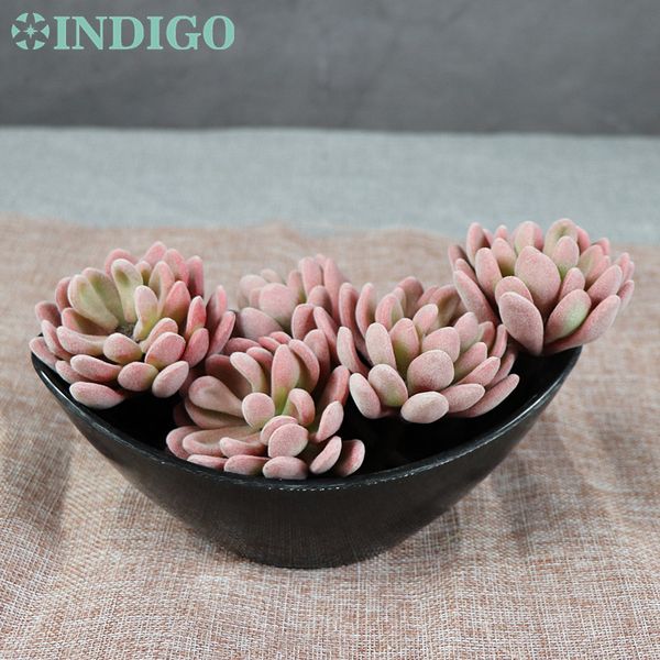 - plush lotus echeveria elegance artificial succulent plant plastic flower decoration wall background decorative flowers & wreaths
- plush lotus echeveria elegance artificial succulent plant plastic flower decoration wall background decorative flowers & wreaths