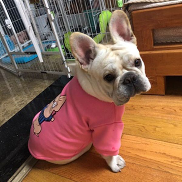 french bulldog clothes autumn and winter thickened fleece fashion bagge bulldog fat dog small and medium dog pet cotton sweater
french bulldog clothes autumn and winter thickened fleece fashion bagge bulldog fat dog small and medium dog pet cotton sweater