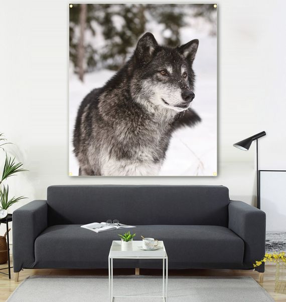 a wolf in the snow hangs a picture and a flag, with 600d sofa background and 4 buttons of 100 * 150cm
a wolf in the snow hangs a picture and a flag, with 600d sofa background and 4 buttons of 100 * 150cm
