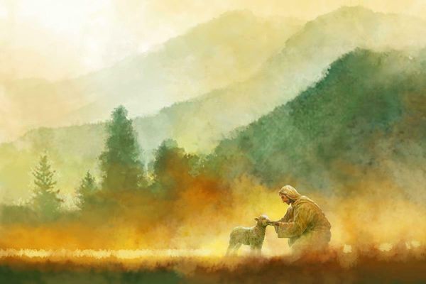 yongsung ким иисус shepherd кормление возвращающегося lamb home decor расписанной hd картина печать холст, масло wall art pictures a116
yongsung ким иисус shepherd кормление возвращающегося lamb home decor расписанной hd картина печать холст, масло wall art pictures a116