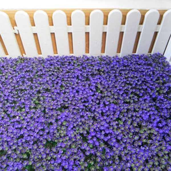decorative flowers & wreaths purple plant crafts simulation decoration flower ball eucalyptus milan grass set props
decorative flowers & wreaths purple plant crafts simulation decoration flower ball eucalyptus milan grass set props