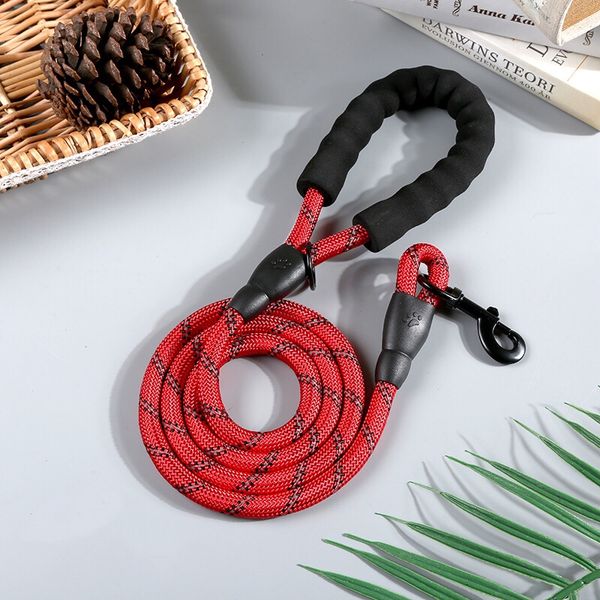 chinese mainland dog supplies comfortable lead rope nylon reflective round dog leash medium-large dog leash pet supplies
chinese mainland dog supplies comfortable lead rope nylon reflective round dog leash medium-large dog leash pet supplies