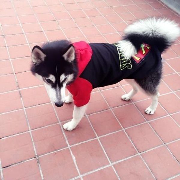 pet clothes superman large and medium-sized dog clothes dog sweater autumn and winter samoyed husky golden retriever special offer
pet clothes superman large and medium-sized dog clothes dog sweater autumn and winter samoyed husky golden retriever special offer