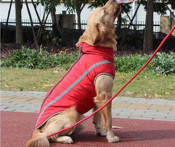 autumn winter warm dog clothing windproof heat storage smooth pull neck adjustable reflective pet clothing xl-5xl size
autumn winter warm dog clothing windproof heat storage smooth pull neck adjustable reflective pet clothing xl-5xl size