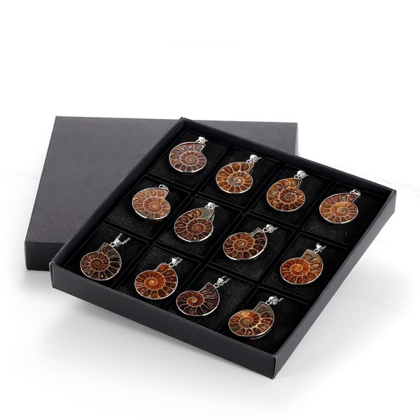 ashmita natural stone ammonite shell snail pendants ocean reliquiae statement necklaces men jewelry beautiful necklaces pendants supplies, Silver
ashmita natural stone ammonite shell snail pendants ocean reliquiae statement necklaces men jewelry beautiful necklaces pendants supplies, Silver