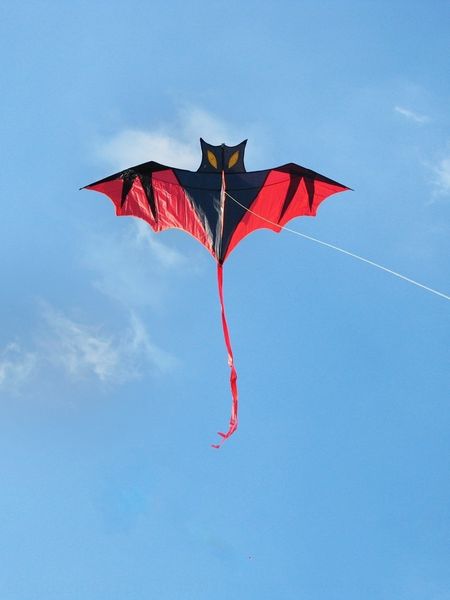 weifang weifang children's wheel children's bat kite breeze is easy to fly recommended large kite thread wheel
weifang weifang children's wheel children's bat kite breeze is easy to fly recommended large kite thread wheel