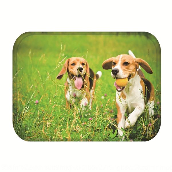 creative dog printing coral velvet door bathroom creative dog printing coral velvet non-slip mat door bathroom non-slip mat
creative dog printing coral velvet door bathroom creative dog printing coral velvet non-slip mat door bathroom non-slip mat
