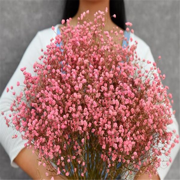 1 bundle 45-50cm diy gypsophila flower wedding party p props pure natural plant dried flowers cafe library home decoration
1 bundle 45-50cm diy gypsophila flower wedding party p props pure natural plant dried flowers cafe library home decoration