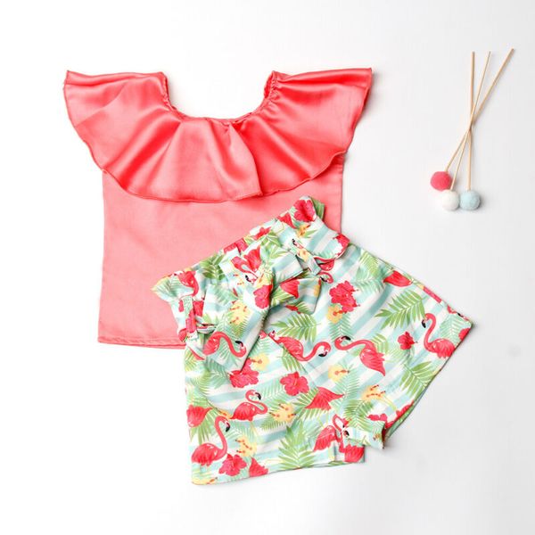 сша малышей baby girl kid одежда с коротким рукавом топы брюки flamingo экипировка одежда спортивные наборы, Black;blue
сша малышей baby girl kid одежда с коротким рукавом топы брюки flamingo экипировка одежда спортивные наборы, Black;blue