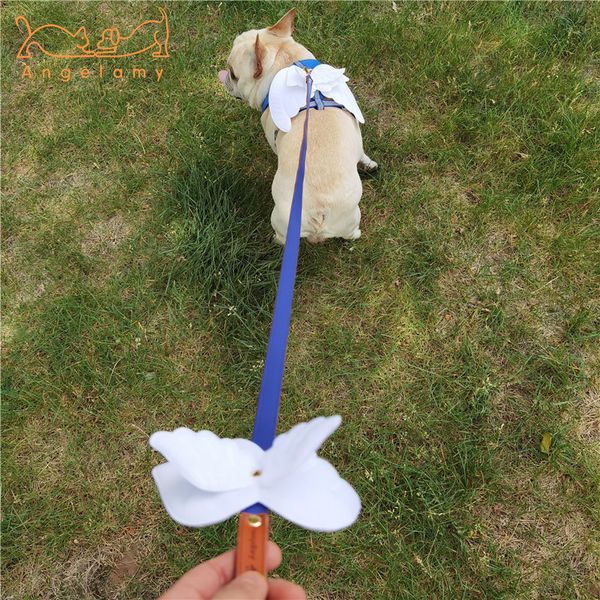 angel wings leather pet chest strap teddy fadou keji shiba dog protective dog chest and back traction rope
angel wings leather pet chest strap teddy fadou keji shiba dog protective dog chest and back traction rope