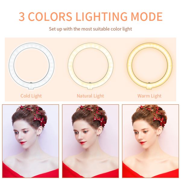 factory 10 inch selfie ring light with tripod stand & cell phone holder for live stream makeup mini led camera for youtube
factory 10 inch selfie ring light with tripod stand & cell phone holder for live stream makeup mini led camera for youtube