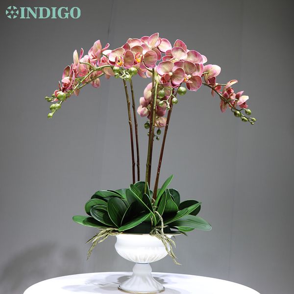 indigo-purple yellow core orchid phalaenopsis diy flower arrangment real touch flower office home table decoration ing
indigo-purple yellow core orchid phalaenopsis diy flower arrangment real touch flower office home table decoration ing