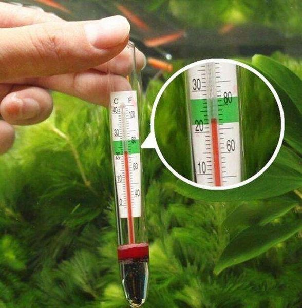 aquarium water thermometer precision glass thermometer suction cup fish tank accessories control 
aquarium water thermometer precision glass thermometer suction cup fish tank accessories control
