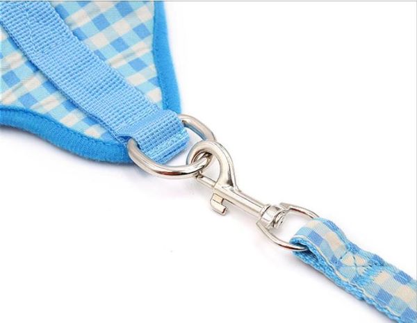new style three color summer dog leash vest comfortable breathable chest strap teddy pomeranian with small medium sized dogs leash
new style three color summer dog leash vest comfortable breathable chest strap teddy pomeranian with small medium sized dogs leash