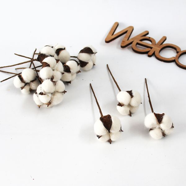 120pcs/bag cotton bolls natural cotton artificial flower white decoration dried flowers decorative cotton diy wedding flower
120pcs/bag cotton bolls natural cotton artificial flower white decoration dried flowers decorative cotton diy wedding flower