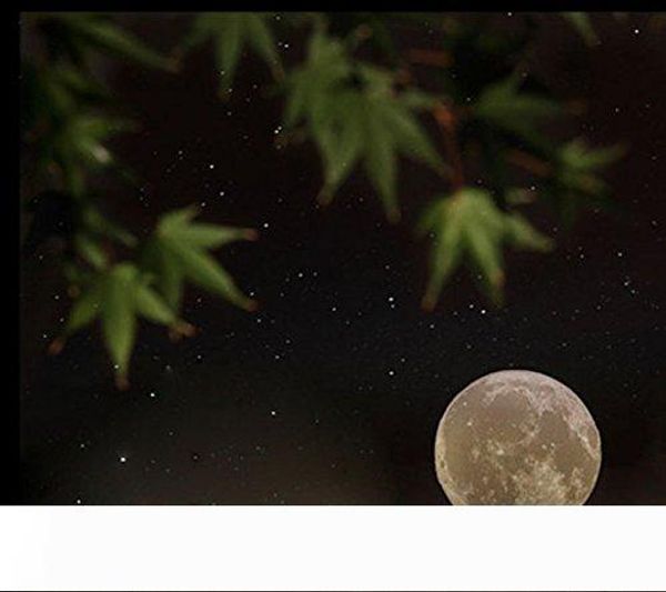 light 3d printing moon shaped lamp touch switch control brightness warm cold color portable craft 3.9inch diameter
light 3d printing moon shaped lamp touch switch control brightness warm cold color portable craft 3.9inch diameter