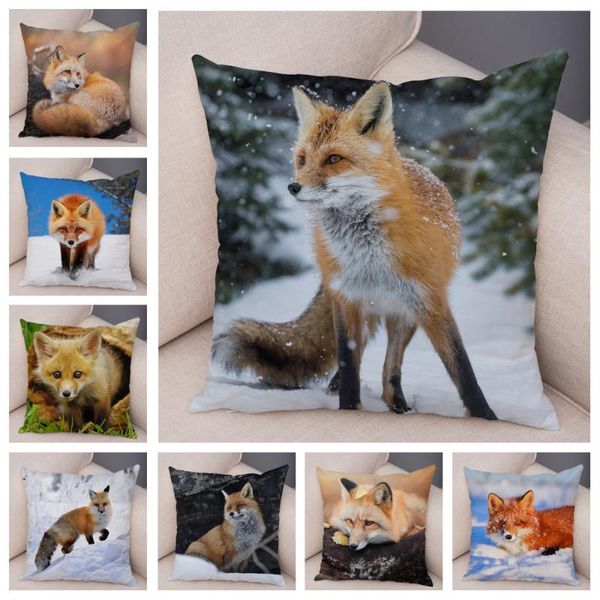 симпатичные наволочки wild напечатанных sofa home decor автомобилей прекрасные животных наволочка 45 * 45см мягкие короткие плюшевые наволоч
симпатичные наволочки wild напечатанных sofa home decor автомобилей прекрасные животных наволочка 45 * 45см мягкие короткие плюшевые наволоч
