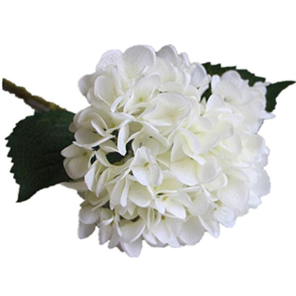 party supplies artificial hydrangea flower head 47cm fake silk single real touch hydrangeas 8 colors for wedding centerpieces home flowers
party supplies artificial hydrangea flower head 47cm fake silk single real touch hydrangeas 8 colors for wedding centerpieces home flowers