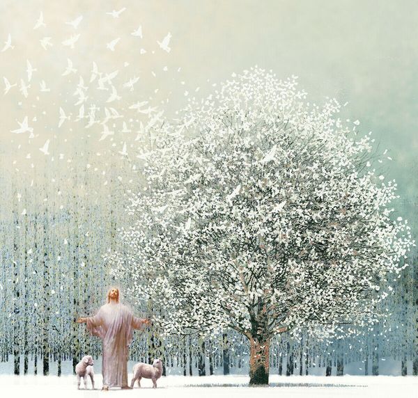 yongsung ким иисус христос с деревом в snow home decor ремесла / hd печати живопись маслом на холсте wall art холст pictures a145
yongsung ким иисус христос с деревом в snow home decor ремесла / hd печати живопись маслом на холсте wall art холст pictures a145