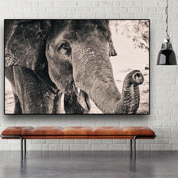 black and white animal canvas painting wild africa elephant posters and prints cuadros wall art pictures for living room home decor
black and white animal canvas painting wild africa elephant posters and prints cuadros wall art pictures for living room home decor