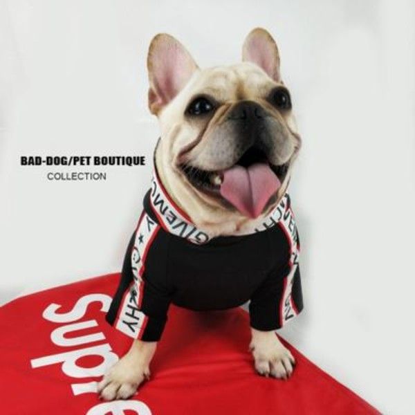 черный спортивный teddy собака платье высокого качества письмо логотип печати pet hoodie моды шнауцеры зима толстые пальто одежда с крышкой
черный спортивный teddy собака платье высокого качества письмо логотип печати pet hoodie моды шнауцеры зима толстые пальто одежда с крышкой