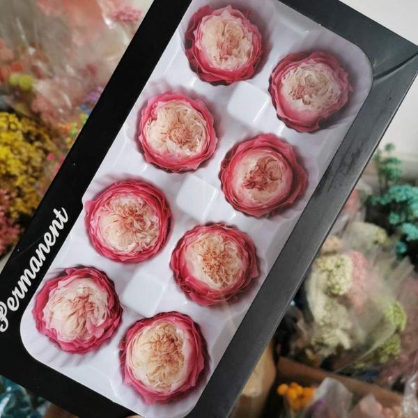 4-5cm/8pcs,grade a preserved austin roses head,flowers gift eternal rose for wedding party decoration,bridal headdress favor
4-5cm/8pcs,grade a preserved austin roses head,flowers gift eternal rose for wedding party decoration,bridal headdress favor
