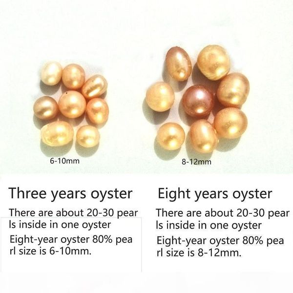 big oyster pearl eight years aquaculture 20-30 pcs pearls 2018 in stock individually vacuum packed cultured fresh oyster pearl farm supply, White
big oyster pearl eight years aquaculture 20-30 pcs pearls 2018 in stock individually vacuum packed cultured fresh oyster pearl farm supply, White