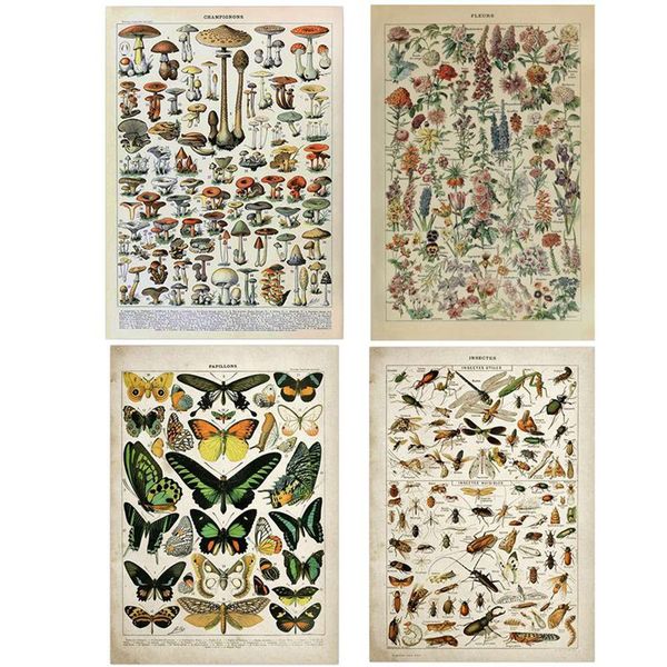 vintage adolphe millot encyclopedia posters butterfly mushrooms herbs flowers insect classic canvas paintings wall stickers
vintage adolphe millot encyclopedia posters butterfly mushrooms herbs flowers insect classic canvas paintings wall stickers