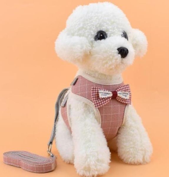new style breathable mesh cloth chest strap for small dogs cat leash pet vest type adjustable leash pet supplies
new style breathable mesh cloth chest strap for small dogs cat leash pet vest type adjustable leash pet supplies