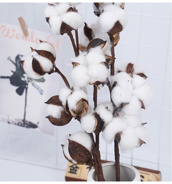 10 head dried cotton flower artificial plants floral branch for wedding party decoration fake flowers home decor faux plants
10 head dried cotton flower artificial plants floral branch for wedding party decoration fake flowers home decor faux plants