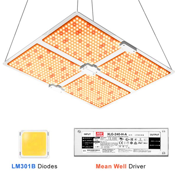 idoo full spectrum samsung led grow light 1000w/2000w/4000w with lm301b 234pcs 3000k chips and ul meanwell driver
idoo full spectrum samsung led grow light 1000w/2000w/4000w with lm301b 234pcs 3000k chips and ul meanwell driver