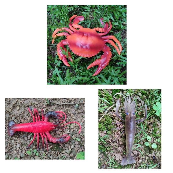 3pcs fake lobster model artificial marine animals decoration home party display kids play toy
3pcs fake lobster model artificial marine animals decoration home party display kids play toy