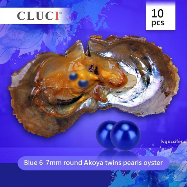 cluci 10pcs twins sea akoya cultured royal blue 6-7mm one pearl oyster with 2 pearls t200507 
cluci 10pcs twins sea akoya cultured royal blue 6-7mm one pearl oyster with 2 pearls t200507