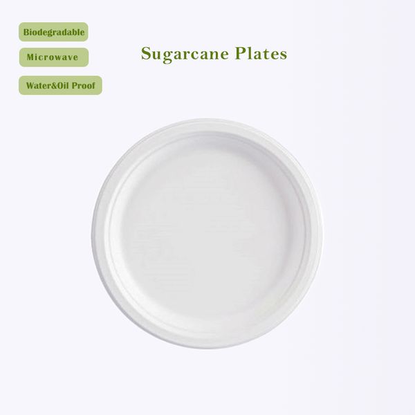 sugarcane plate 100% compostable 6 7 9 10 inch disposable natural bagasse paper tray 125 pack
sugarcane plate 100% compostable 6 7 9 10 inch disposable natural bagasse paper tray 125 pack