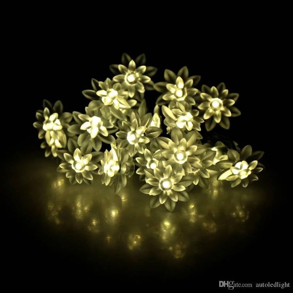 5.8m 20leds solar powered warm white lotus flower light led strings holiday party christmas fairy lighting
5.8m 20leds solar powered warm white lotus flower light led strings holiday party christmas fairy lighting